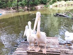 -济南野生动物世界