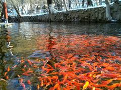 -水磨沟公园