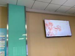 -武汉大学附属爱尔眼科医院(湖北总院)