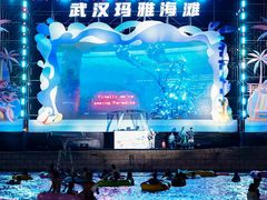 -武汉玛雅海滩水公园