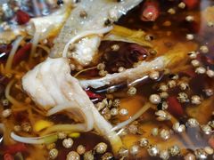 -眉州东坡(春秀路店)