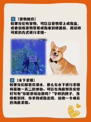 -迈瑞米求婚策划(静安店)