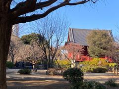 -上野公园花园稻荷神社(忍岡稲荷神社)