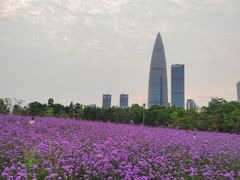 -深圳人才公园