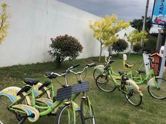 -上海长兴岛郊野公园