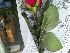 -FEI FEI FLOWER鲜花店·气球派对·宝宝宴布置(虹口德必运动Loft店)