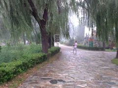 景点-顺鑫绿色度假村