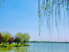 -南湖湿地公园