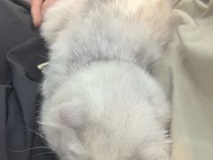-联合动物医院(光谷诊疗中心)