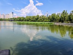 -莲花池公园