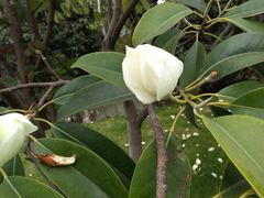 -太湖湖滨国家湿地公园-停车场