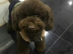 -沐沐家宠物(成寿寺店)