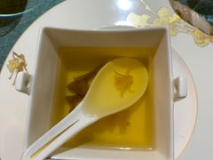 -诺莱仕游艇会