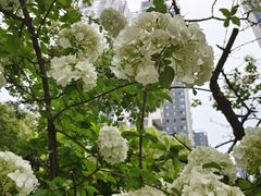 -汉水公园