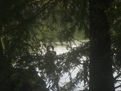 -浙江农林大学(东湖校区)