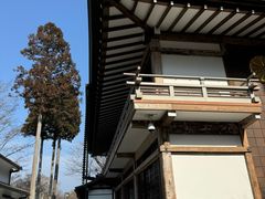 -三千院