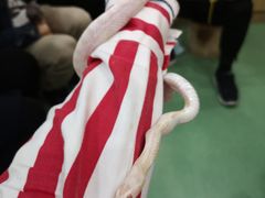 -藦茜花园宠物主题亲子互动体验馆(国顺东路店)