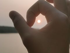 -沈阳鸟岛