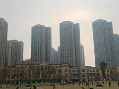 -府河摄影公园