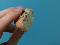小蛋糕-红房子西点(南京东路店)