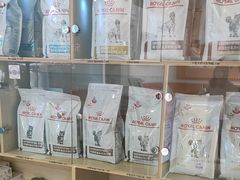 -乐派堂宠物医院·猫友好· 心脏科(东街店)