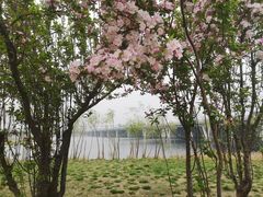 -绿堤公园