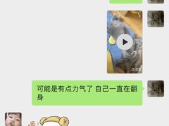 -奈斯宠物医院·核磁CT·异宠专科·内镜(中南店)