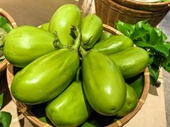 -洞庭土菜馆(天河北总店)