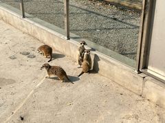 -极速星辰卡丁车赛车场(西山店)