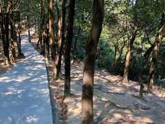 -火炉山森林公园