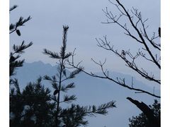 -太平万花山景区