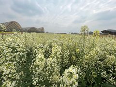 -中国天府农业博览园