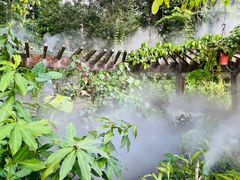 -中国科学院西双版纳热带植物园