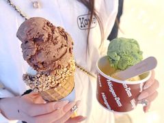 -哈根达斯(青岛海信店)