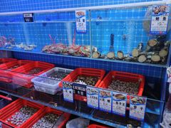 -阿四台山黄鳝饭(东门店)