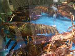 -上和臻品中国菜(花园街店)