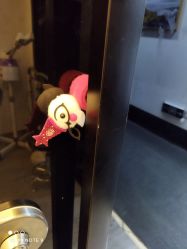 -DEM缔怡美科技美容