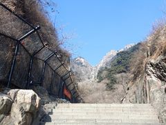 -泰山风景名胜区