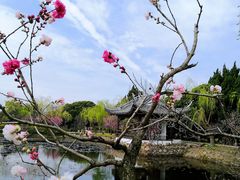 -无锡蠡湖国家湿地公园-蠡园
