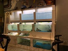 -质烤烤物·活烤海鲜(质烤总店)