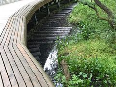-西湖风景区-江洋畈生态公园
