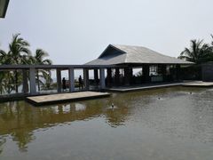 -日落吧·海景咖啡厅·餐酒吧·鸡尾酒·下午茶·乐队表演·浪漫夕阳·三亚文华东方酒店