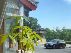 -那家小馆•北京菜•烤鸭(香山店)