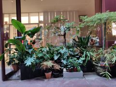 -二酉书店TOYOU BOOKS