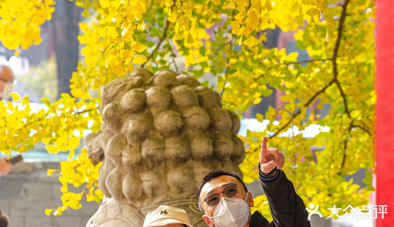 绝美的五塔真觉寺石刻博物馆（攻略篇）