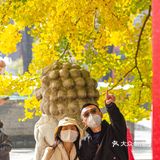 绝美的五塔真觉寺石刻博物馆（攻略篇）