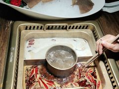 -九鼎轩脆毛肚火锅(徐州苏宁店)