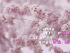 -武汉大学-樱园