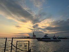 -大阪海游馆