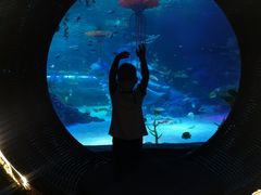 -沈阳海洋探索中心